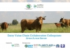 Dairy Value Chain Collaboration Colloquium - After-Action Report